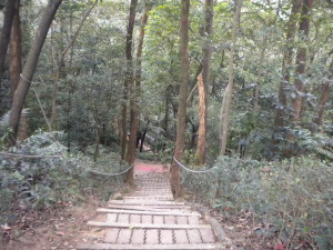 Linkou Forest Trail